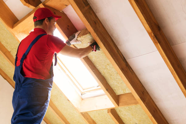 Best Blown-In Insulation  in Dell Rapids, SD